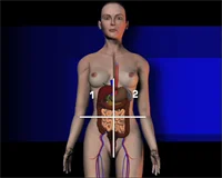Loadmedical - Medizinische Filme - Crash-Kurs Medizin: Magen - Darm - Das komplette Video