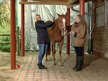 Loadmedical - Medizinische Filme - Alternative Heilmethoden bei Hund und Pferd