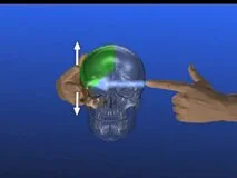 Loadmedical - Medizinische Filme - Craniosacral Osteopathy