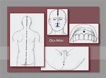 Loadmedical - Medizinische Filme - Die moderne energetische Akupunktur