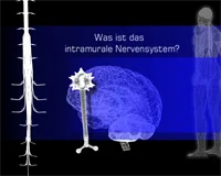 Loadmedical - Medizinische Filme - Crash-Kurs Medizin: Nervensystem - Das komplette Video