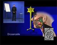 Loadmedical - Medizinische Filme - Crash-Kurs Medizin: Nervensystem - Das komplette Video