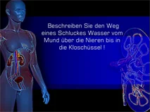Loadmedical - Medizinische Filme - Crash-Kurs Medizin: Niere - Blase - Das komplette Video