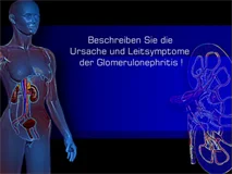 Loadmedical - Medizinische Filme - Crash-Kurs Medizin: Niere - Blase - Das komplette Video