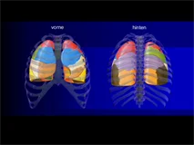 Loadmedical - Medizinische Filme - Crash-Kurs Medizin: Respirationstrakt - Das komplette Video