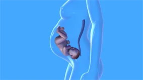Loadmedical - Medizinische Filme - Crash Kurs Medizin: Schwangerschaftsbeschwerden - Das komplette Video