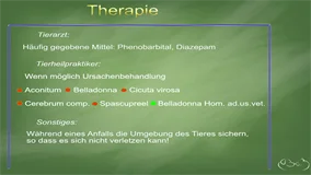 Loadmedical - Medizinische Filme - Praxisorientierte Pathologie + Therapie bei Hund, Katze und Pferd - Neurologische Störungen