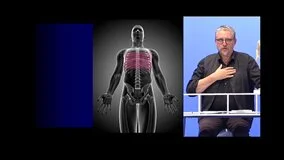 Loadmedical - Medizinische Filme - Crash-Kurs Medizin Schmerzsyndrome - Erfolgreiche Schmerzbehandlung mit Akupunktur
