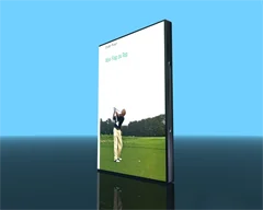 Golflehrfilm: Von FLOP zu TOP mit Dieter Praun-DVD-Version