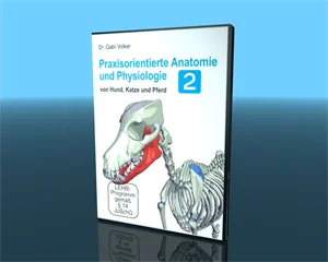 Anatomie und Physiologie von Hund, Katze und Pferd - Teil 2-DVD-Version