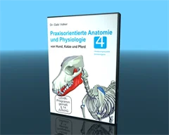 Anatomie und Physiologie bei Hund, Katze und Pferd Teil 4 -DVD-Version